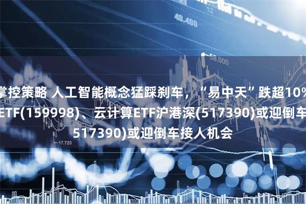 掌控策略 人工智能概念猛踩刹车，“易中天”跌超10%，计算机ETF(159998)、云计算ETF沪港深(517390)或迎倒车接人机会