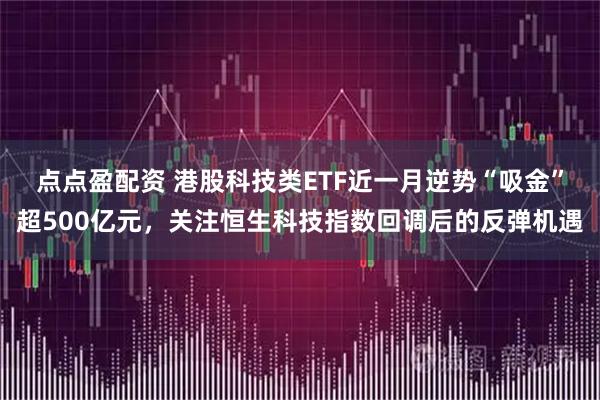 点点盈配资 港股科技类ETF近一月逆势“吸金”超500亿元，关注恒生科技指数回调后的反弹机遇