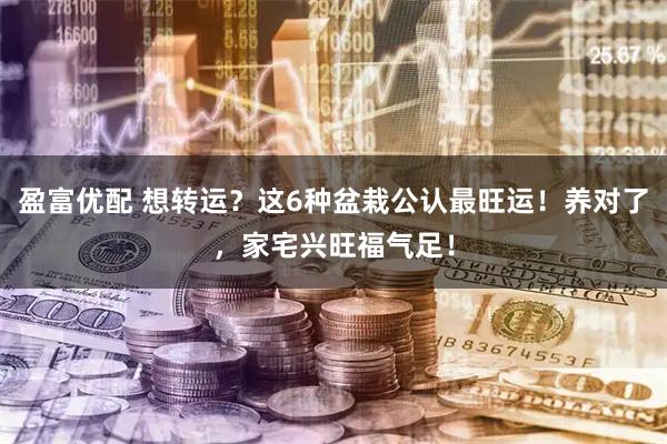 盈富优配 想转运？这6种盆栽公认最旺运！养对了，家宅兴旺福气足！