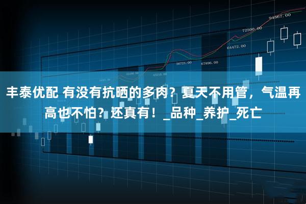 丰泰优配 有没有抗晒的多肉？夏天不用管，气温再高也不怕？还真有！_品种_养护_死亡